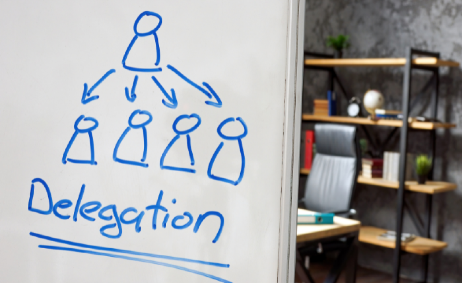 Image de la formation
